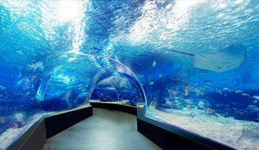 Manila Ocean Park